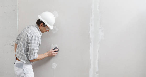 Best Drywall Crack Repair  in Frazee, MN